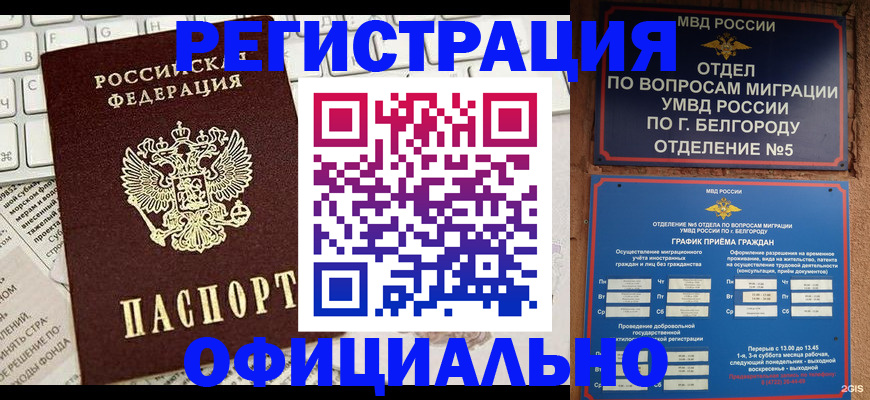 где прописаться в Новодвинске